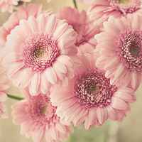 新静态个性头像