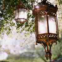 唯美复古的静物个性微信头像