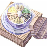 手绘食物彩铅头像高清