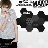 exo个人闪图头像