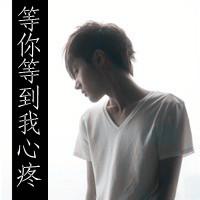 你想做带字的闪图