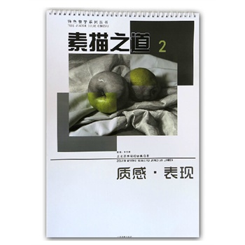 特色教学系列丛书素描之道