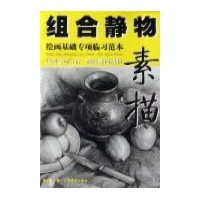 组合静物素描绘画基础专项临习范本蒋志龙技法