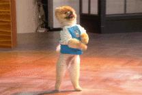 微信头像卡通可爱小狗图片