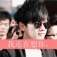 微信头像明星张杰