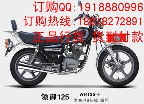 五羊本田领御骑式摩托车