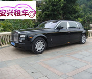 提供顶级豪车专业化组织