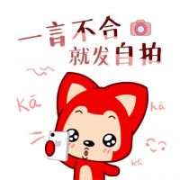 卡通头像可爱阿狸高清图片