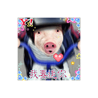 微信头像等着笑抽筋吧哈哈