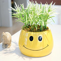 婚车就要这样滴