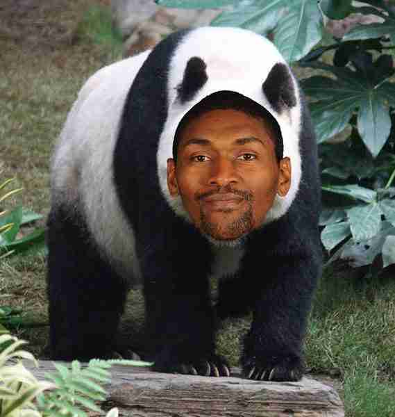 熊猫人带字搞笑图片