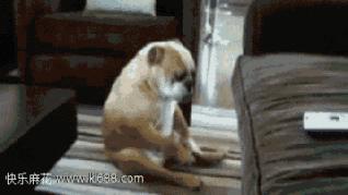 幽默搞笑动态图片带字