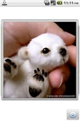 可爱搞笑的动物图片