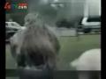 搞笑!可爱孩子的恶搞