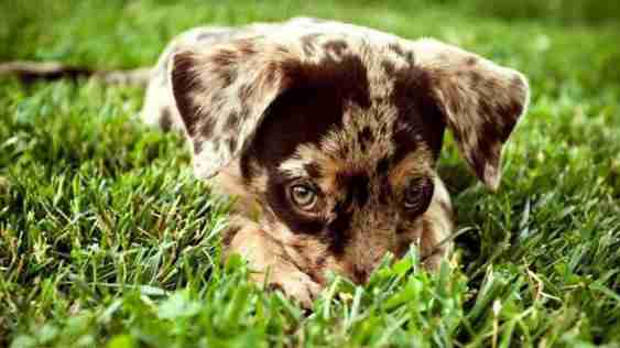 可爱搞笑动物们的周末季组图