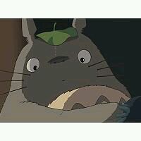 卡通龙猫头像_卡通动物头像