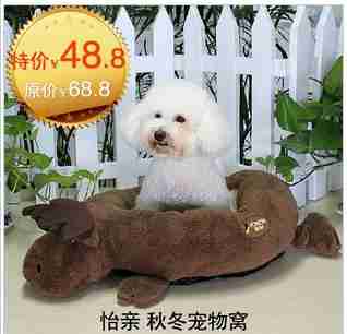 卡通动物可爱猫