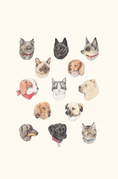 图片|头像|搞笑|可爱