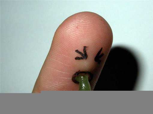 搞笑手指温暖而幸福的一家人系列图片