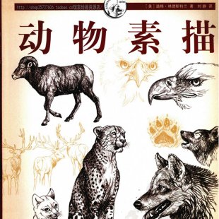 可爱卡通动物线圈绘画本子