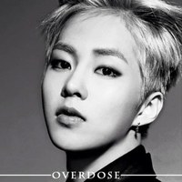 象示人的歌手金