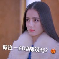 胖迪搞怪表情包第一波