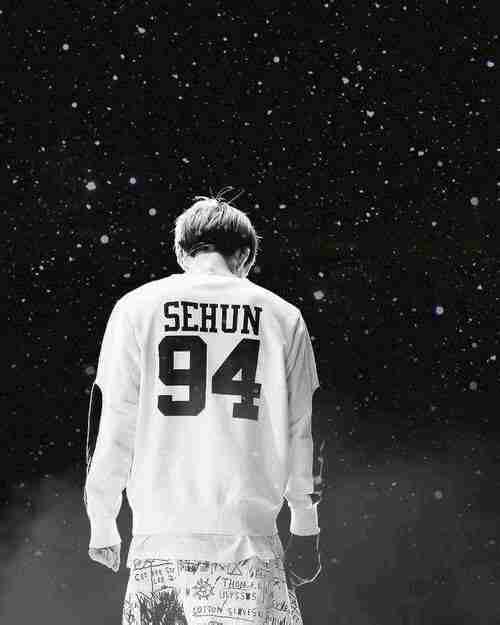 exo背影你会爱吗明星