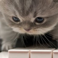 超经典的邪恶奇葩头像