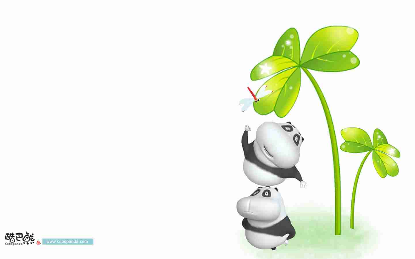 酷巴熊宽屏卡通搞笑哲理