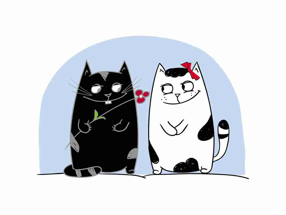 情侣头像黑白猫卡通