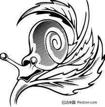 黑白线条手绘卡通蜗牛