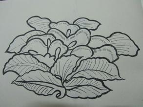 小小黑白画_手绘吧_
