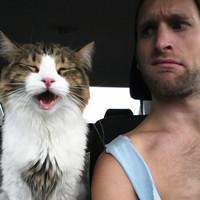 我型我秀欧美霸气男生头像霸气的爱上了