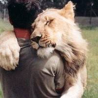 霸气微信欧美头像_杂图