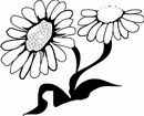 手绘黑白向日葵