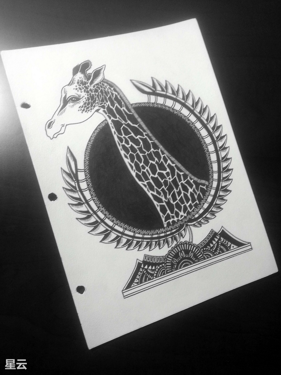 展示画只长颈鹿黑白手绘