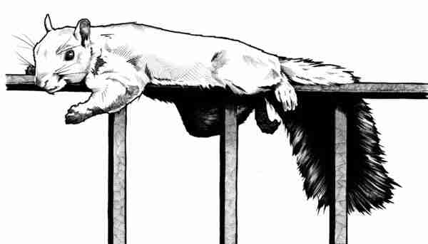 黑白线条手绘家具