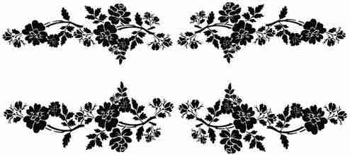 黑白花卉手绘图片