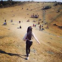 青果学院女神多~