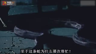 动漫舌吻搜狗影视