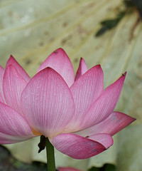 客房最低价英镑高清组图