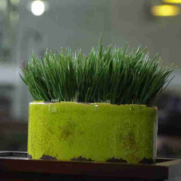 评论表情浪漫的宫廷