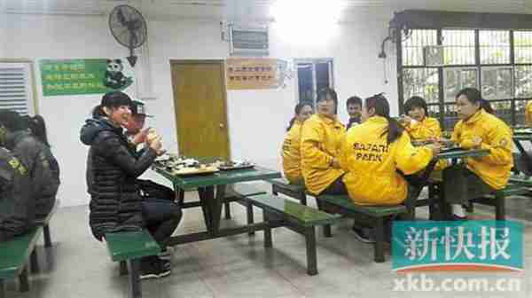 倪妮也是蛮拼的!献吻白狮子还被猩猩咬伤