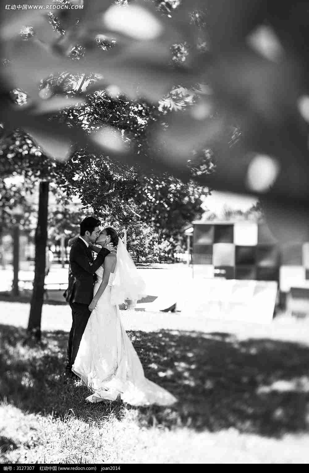 树下拥抱亲吻的情侣婚纱摄影