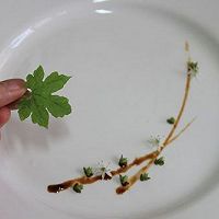 出来的酱汁画出漂亮的线条