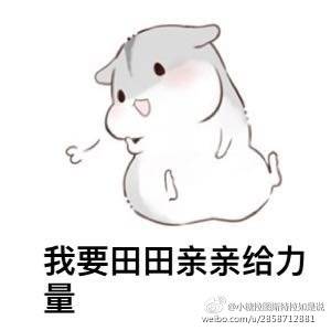 仓鼠夫妻表情包卖萌可爱