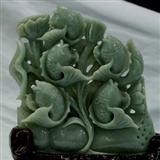 情侣对吻鱼亲嘴鱼