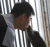 驯养师训练海狮亲吻