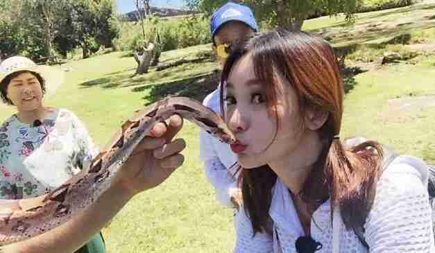 柳岩与蟒蛇亲吻录节目