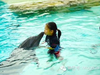 海豚亲吻魔力小孩